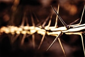 John 18-19 Good Friday